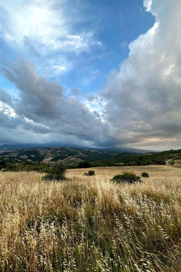 Casa Primavera A Rocca D'Orcia Castiglione dʼOrcia Exteriör bild